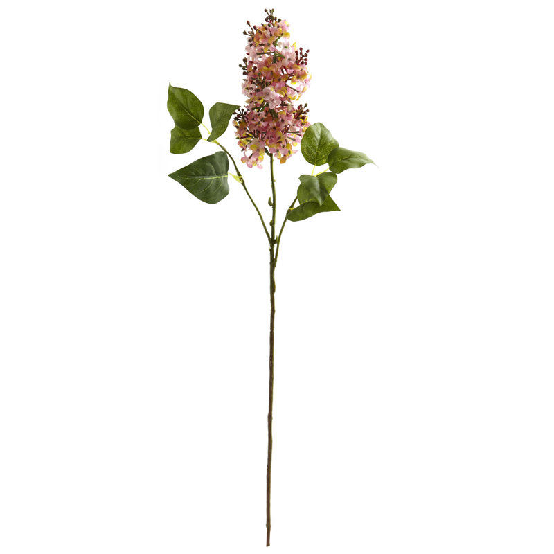 August Grove® Lilac Stem & Reviews Wayfair.ca